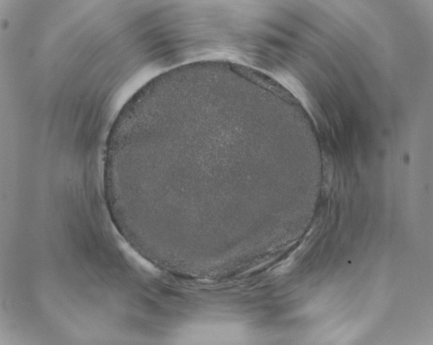 X0000088591151200706081321