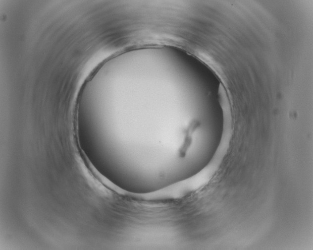 X0000088591152200706081321