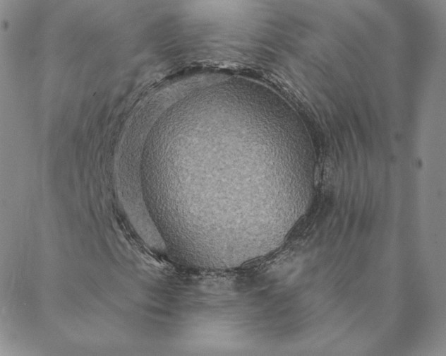 X0000088591153200706081321