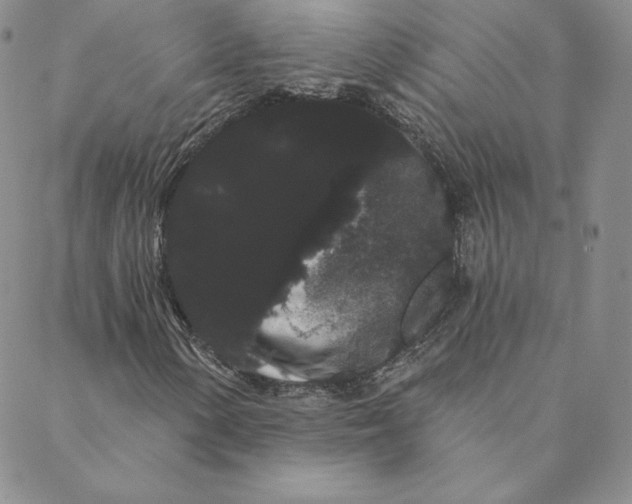 X0000088591154200706081321