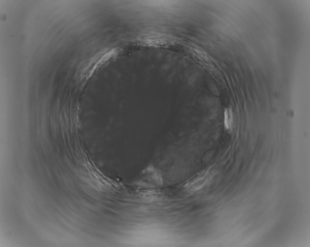 X0000088591155200706081321