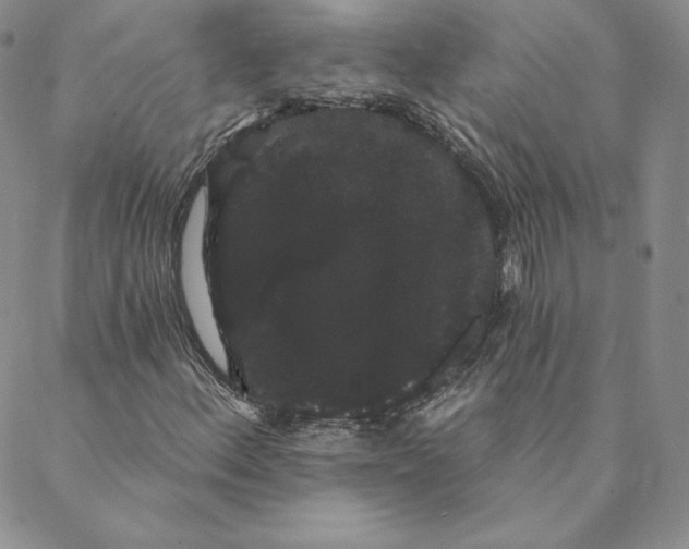 X0000088591156200706081321