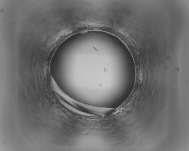 X0000088591157200706081321