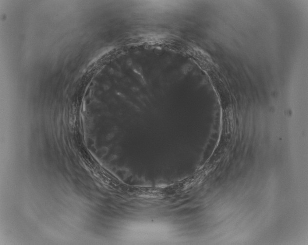 X0000088591158200706081321