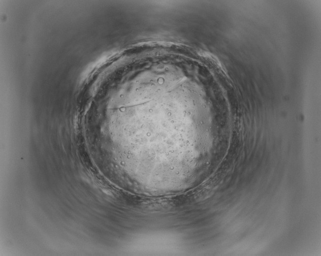 X0000088591159200706081321