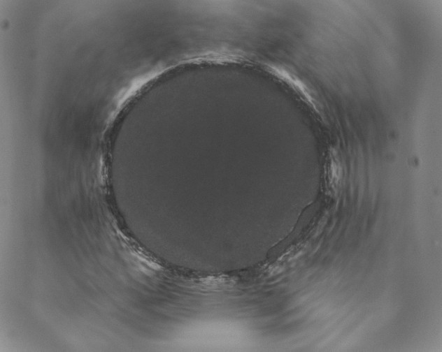 X0000088591160200706081321