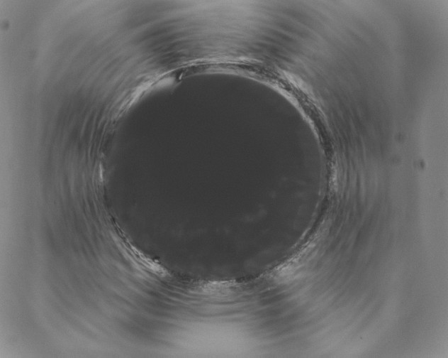 X0000088591161200706081321