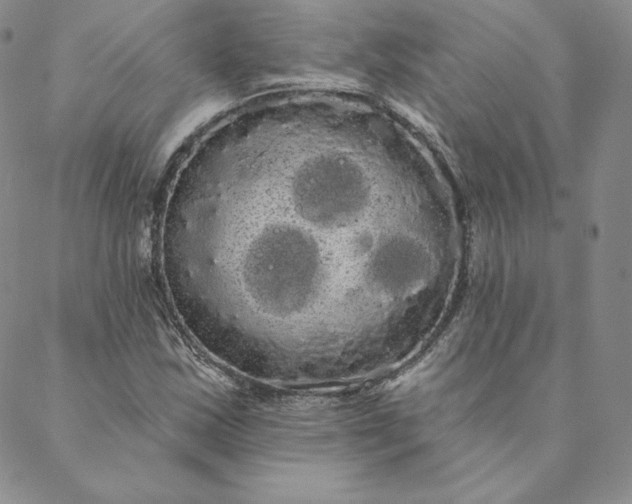 X0000088591163200706081320