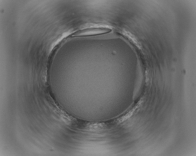 X0000088591165200706081320