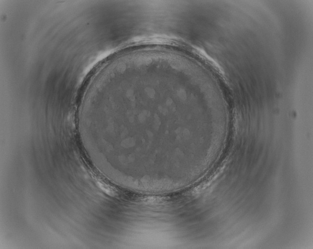 X0000088591166200706081320