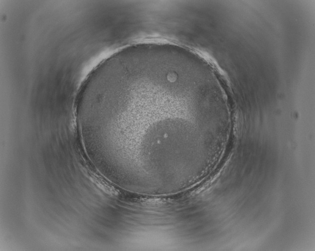 X0000088591167200706081320