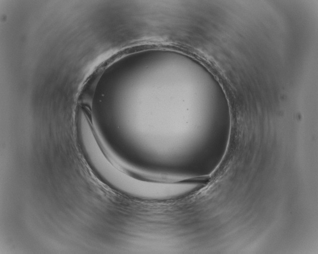 X0000088591168200706081320