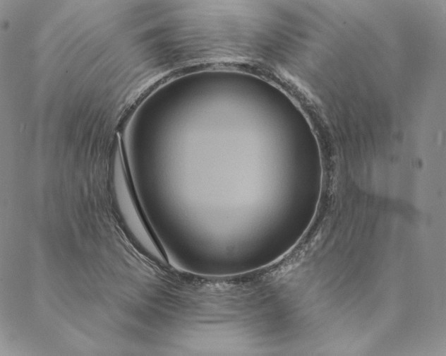 X0000088591169200706081320