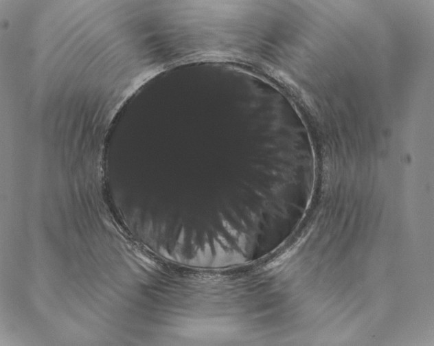 X0000088591170200706081320