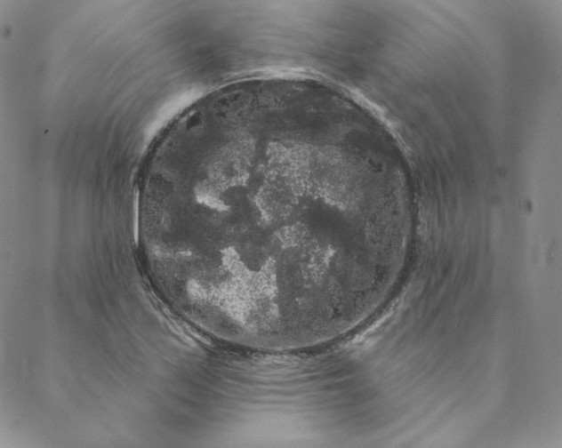 X0000088591171200706081320