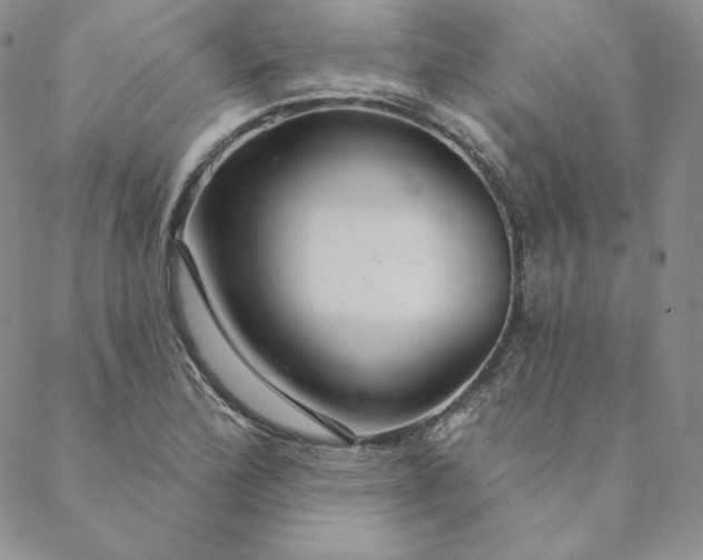 X0000088591172200706081320