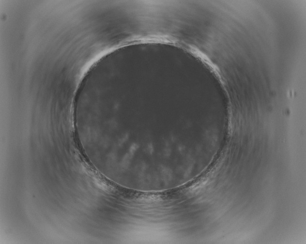 X0000088591174200706081320