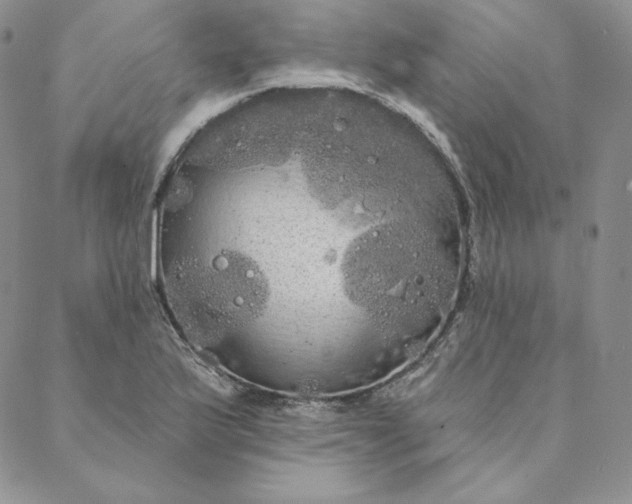 X0000088591175200706081320