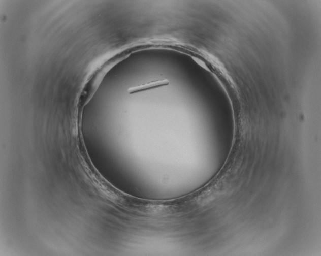 X0000088591176200706081320