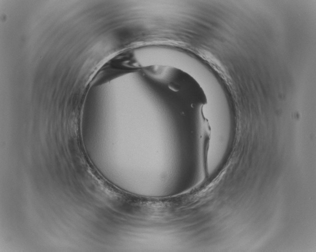 X0000088591177200706081320