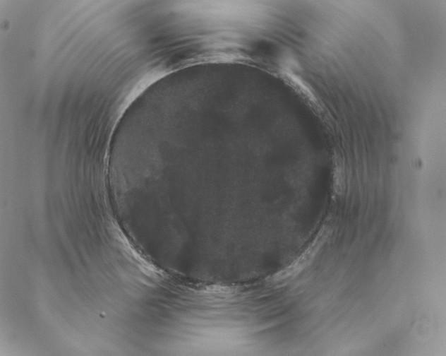 X0000088591178200706081320