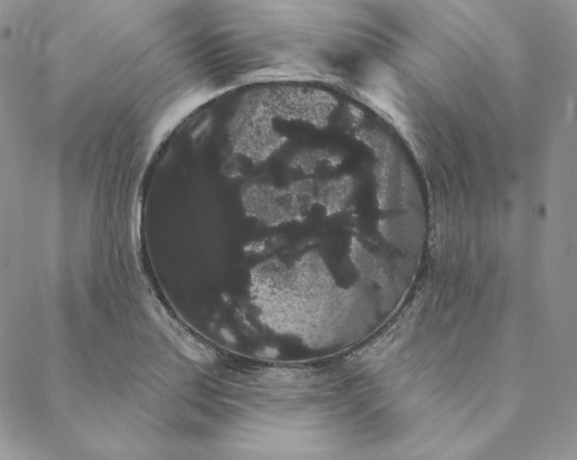 X0000088591179200706081320