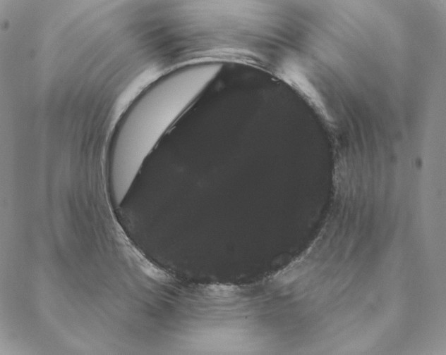 X0000088591180200706081320