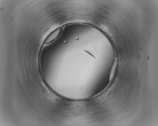 X0000088591181200706081320