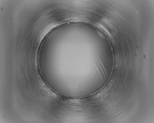 X0000088591182200706081320