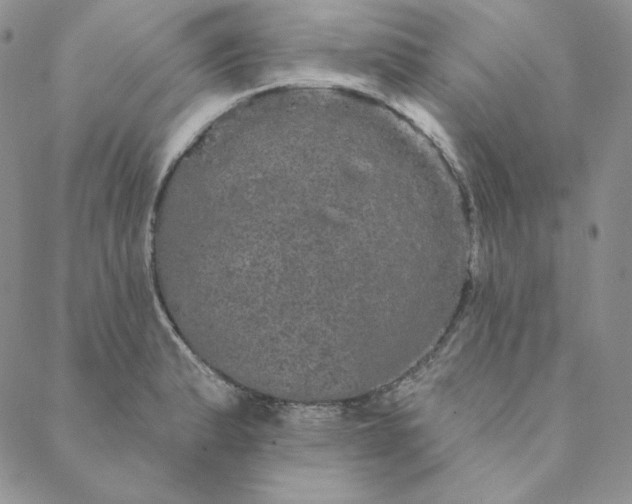 X0000088591183200706081320