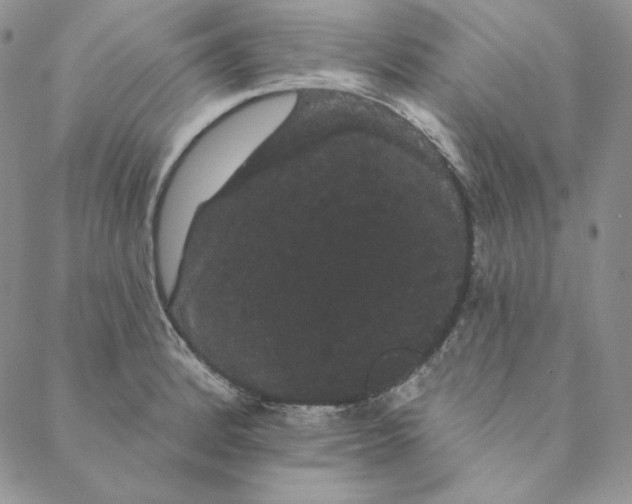 X0000088591184200706081320