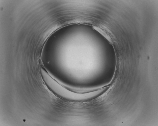 X0000088591185200706081320