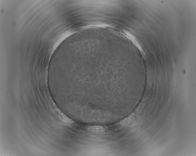 X0000088591186200706081320