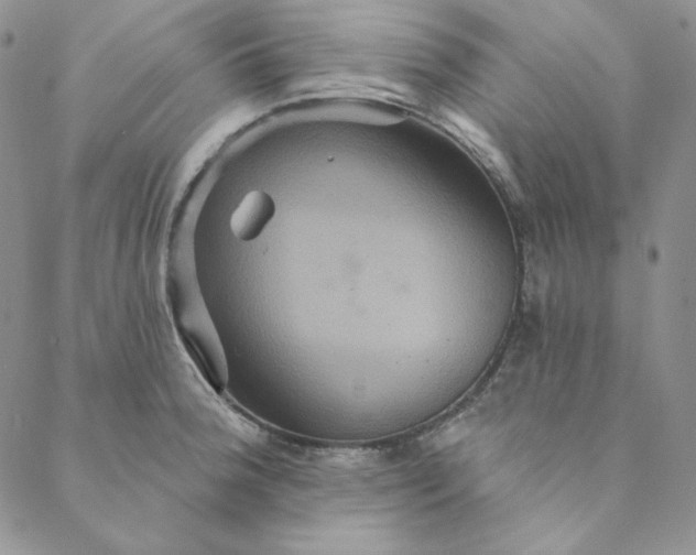 X0000088591188200706081320