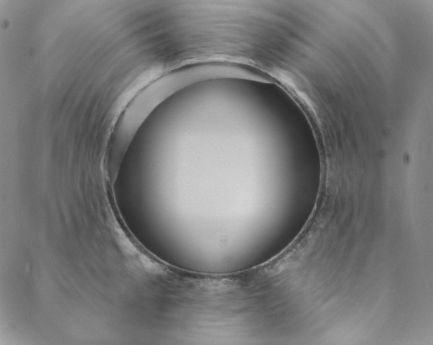 X0000088591189200706081320