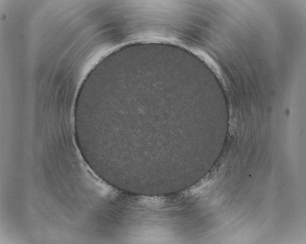 X0000088591191200706081320