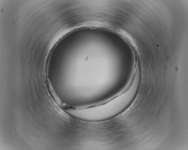 X0000088591192200706081320