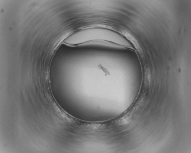 X0000088591193200706081320