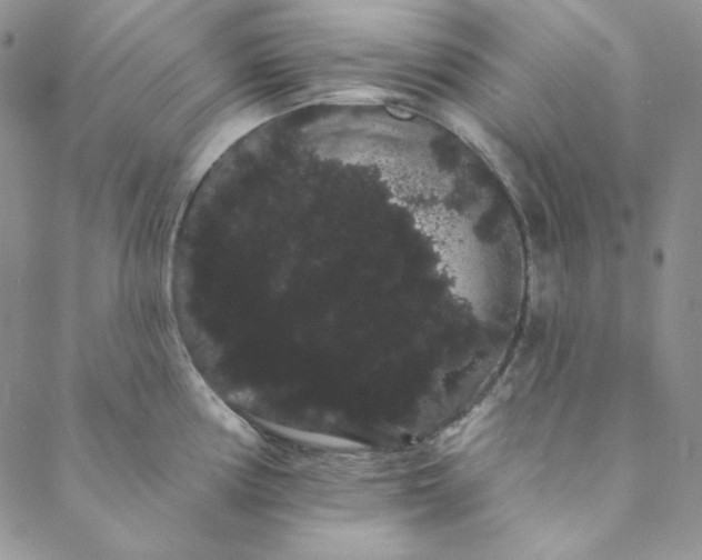 X0000088591194200706081320