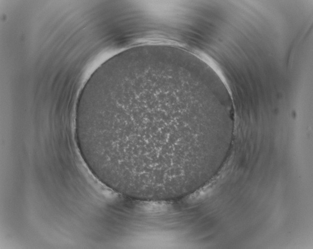 X0000088591195200706081320