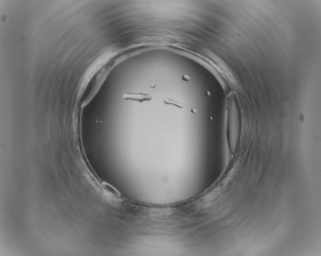 X0000088591196200706081320