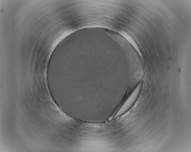 X0000088591197200706081320