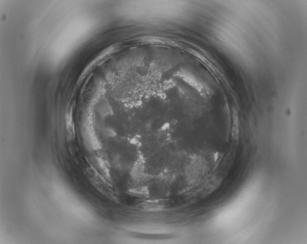 X0000088591198200706081320