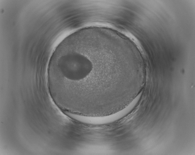 X0000088591199200706081320