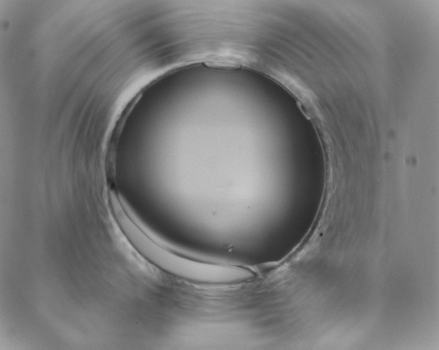 X0000088591200200706081320