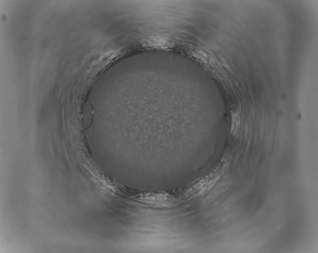 X0000088591201200706081319