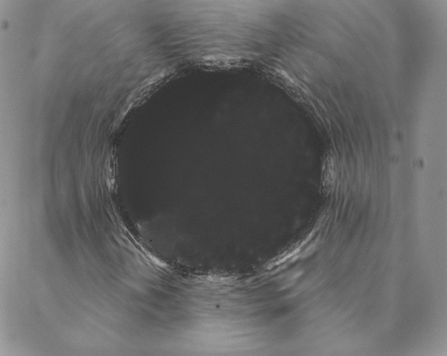 X0000088591202200706081319