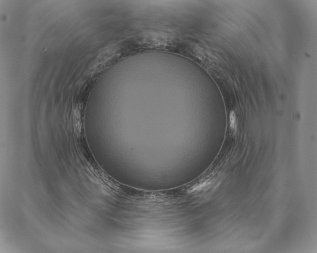 X0000088591203200706081319