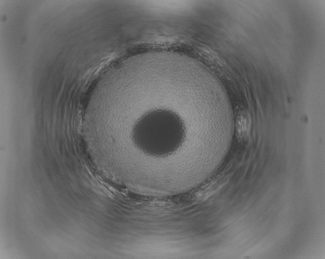 X0000088591204200706081319