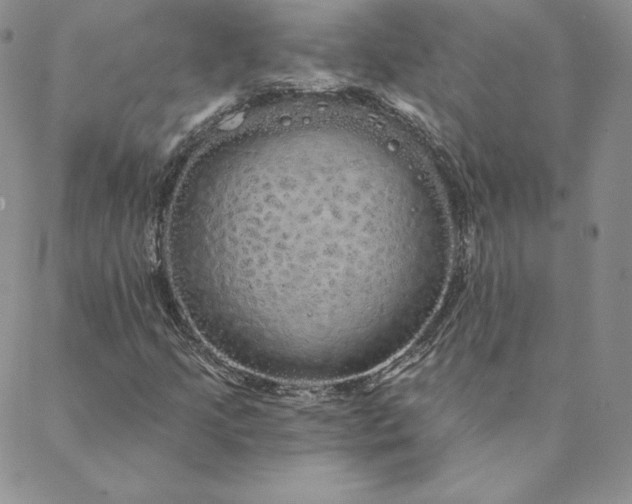 X0000088591205200706081319